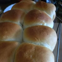 今週のパン