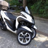 「トリシティ125」（１）買っちゃいました