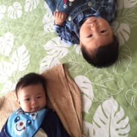 蘭の赤ちゃんと大輔の赤ちゃん写真