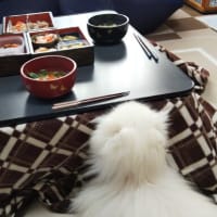 いつもと違った年末年始（２）