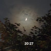 2025年下半期に入りました