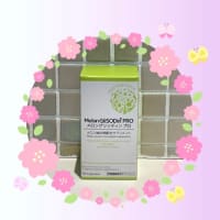 メロングリソディンプロ🍈