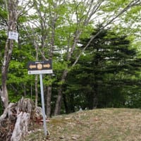 井川・笹山周辺を散策♪