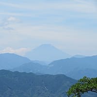 猛暑の中を日影沢から高尾山まで散策 2025.6.28