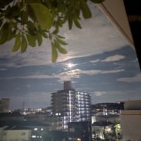 又、又、忘れる。