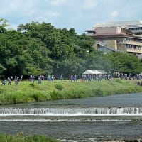 鴨川を散策