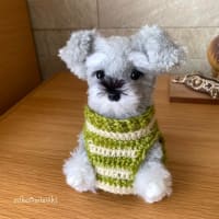 手を加えたミニシュナの編みぐるみと洋服