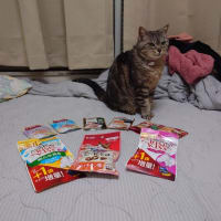 あめちゃん、賑やかな御誕生日会！
