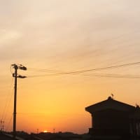 あ　し　た　も　あ　つ　い　ら　し　い　ぞ