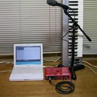 マイクスタンド買っちゃったよ～ 歌を勉強中 その13