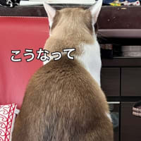 久しぶりにきてみたら