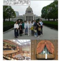 施設案内東京-560   国会議事堂   衆議院見学