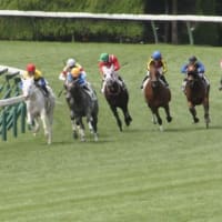 函館競馬・２歳新馬戦で “白毛馬” 快勝．．．