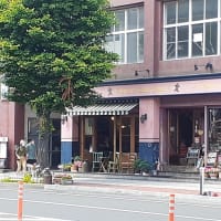 おやつタイム IN 札幌（８６）ルビー色のキウイフルーツで作ったパイ
