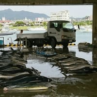 自転車で早朝の市場へ