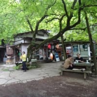 久し振りに金剛山に登った３