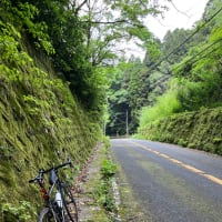 遅めのスタートで