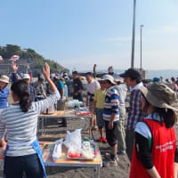 【野外講座レポート】東京湾の小さな無人島で「食べる自然体験」