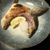 Kaito 海斗@München「鰤のカマ焼き」