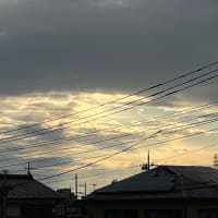 今日は晴れたので歩けそうだね