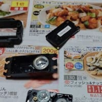 ネオマイティフロッグ（DT-03）のサーボホーン脱落・修理とサーボの出力軸軸受交換