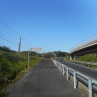 本日はＬＳＤ　2025山陰の春ジョグ１５
