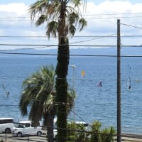3週間ぶりのWindfoil・・・。