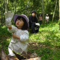 タケノコ初めて