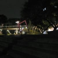 台湾10万歩行　１６　饒河街夜市と寧夏夜市と