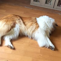 誰かな？