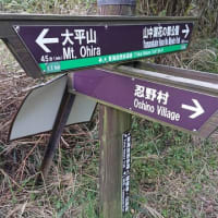 「大平山の登り口③」下見のつもりが‥‥「怖いのもすぐ忘れ」