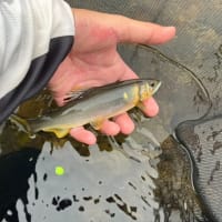2024年10月5日　17釣り目　那珂川＆荒川