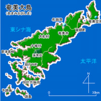 奄美大島地理的概況