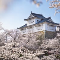 今日から記録をつけていきます。
