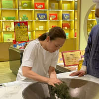 遠安鹿苑　製茶