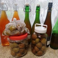 梅酒の仕込みの準備