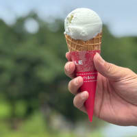 愛南町　高茂岬へ
