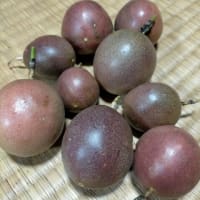 恵みに感謝の毎日
