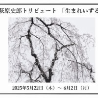【写真展】萩原史郎トリビュート　「生まれいずる」 