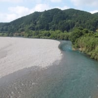 本日の海部川