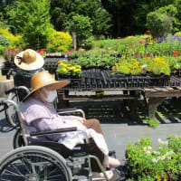白梅の森　花を購入の巻
