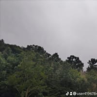 ウソ