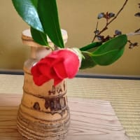 桜終わりました　お軸は廻文　最後の赤　肥後椿日の丸
