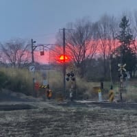 夕陽の色が…