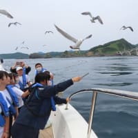 集団宿泊学習での学びを生かして