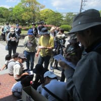 清々しい五月晴れ！ ミニ探鳥会開催！