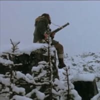 ネバー・クライ・ウルフ (1983)