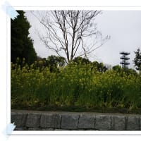 たろくんと川原