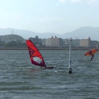過去最高の魚に当たりフォイル断念でタック練習