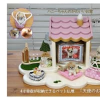 明るい気持ちでお空のハニーちゃんと繋がっているご様子に、ほっこりしました